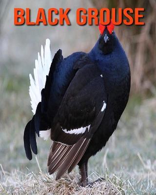 Book cover for Black Grouse