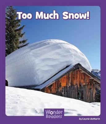 Cover of Too Much Snow