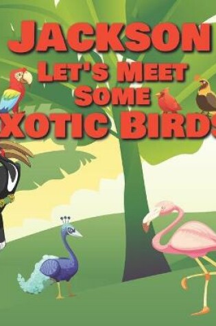 Cover of Jackson Let's Meet Some Exotic Birds!