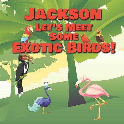 Book cover for Jackson Let's Meet Some Exotic Birds!