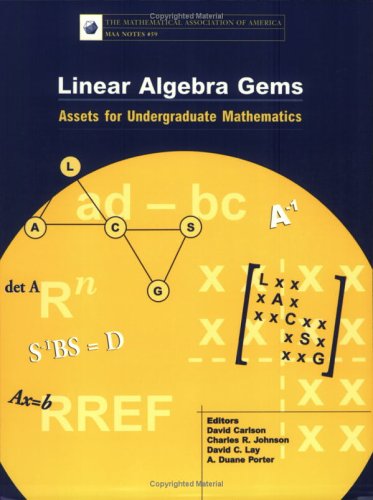 Book cover for Linear Algebra Gems