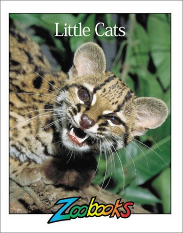 Book cover for Little Cats