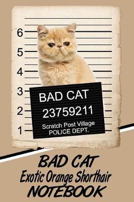 Book cover for Bad Cat Exotic Orange Shorthair Notebook