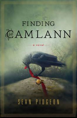 Book cover for Finding Camlann