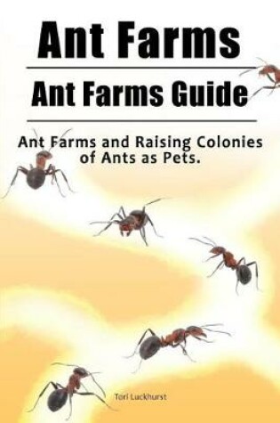 Cover of Ant Farms. Ant Farms Guide. Ant Farms and Raising Colonies of Ants as Pets.