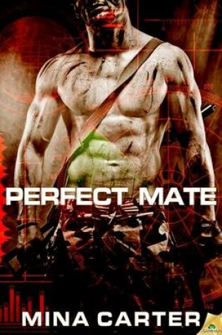 Cover of Perfect Mate