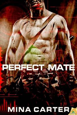 Book cover for Perfect Mate