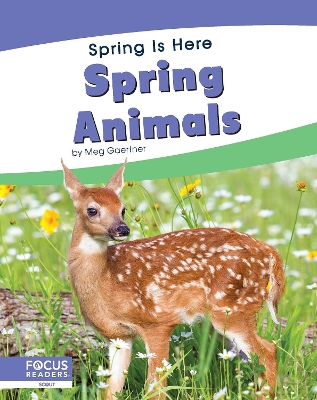 Book cover for Spring Animals