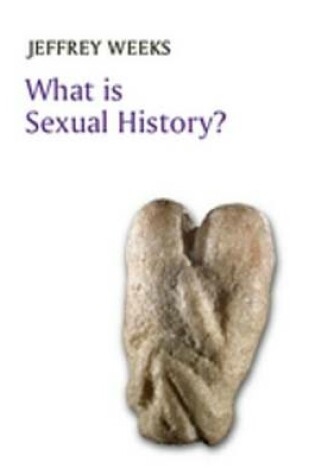 Cover of What is Sexual History?