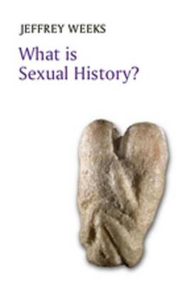 Book cover for What is Sexual History?