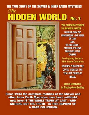 Book cover for The Hidden World Number 7