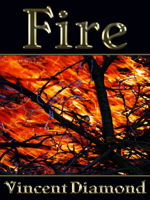 Book cover for Fire