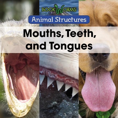 Book cover for Mouths, Teeth, and Tongues