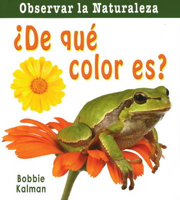 Book cover for De Que Color Es?