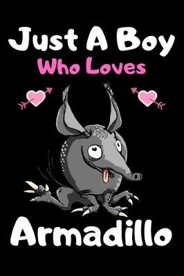 Book cover for Just a boy who loves armadillo