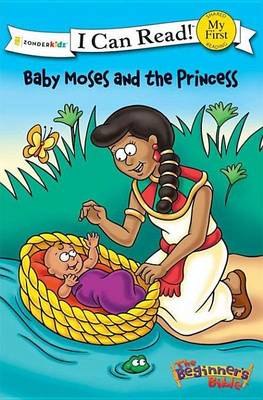 Book cover for Baby Moses and the Princess
