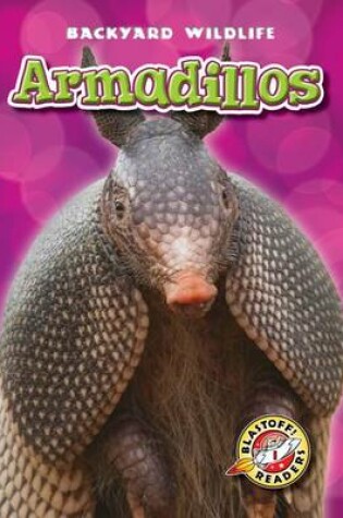 Cover of Armadillos