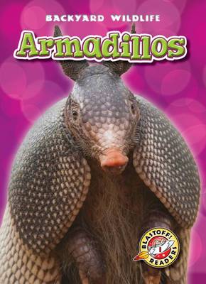 Cover of Armadillos