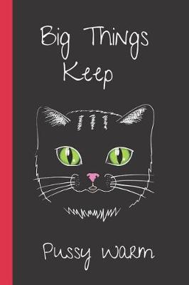 Book cover for Big Things Keep Pussy Warm