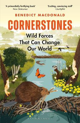 Book cover for Cornerstones