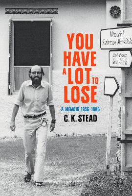 Book cover for You Have a Lot to Lose