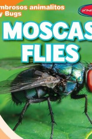 Cover of Moscas / Flies
