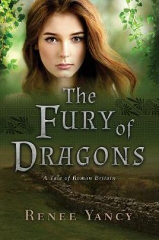 Cover of The Fury of Dragons