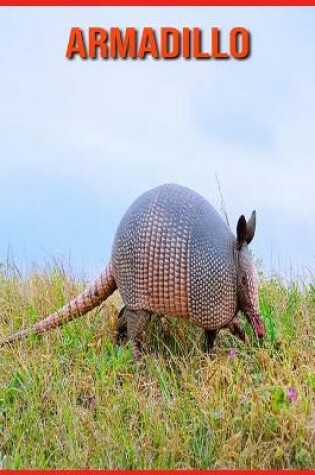 Cover of Armadillo