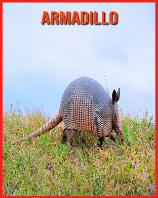 Book cover for Armadillo