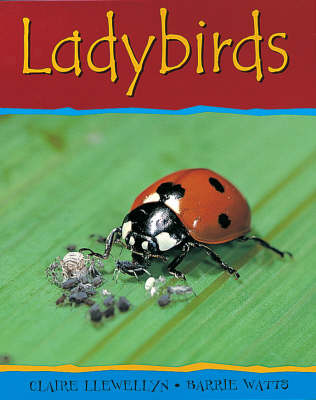 Book cover for Ladybirds