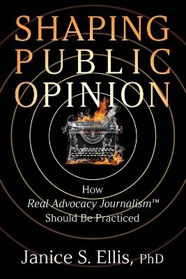 Book cover for Shaping Public Opinion