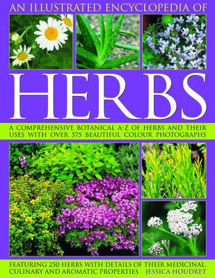 Book cover for Illustrated Encyclopedia of Herbs