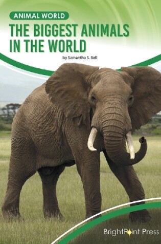 Cover of The Biggest Animals in the World