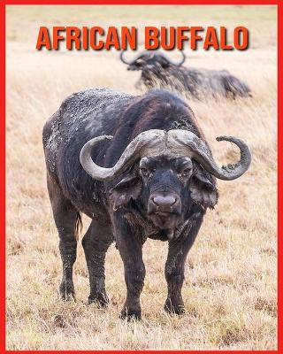 Book cover for African Buffalo