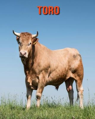 Book cover for Toro
