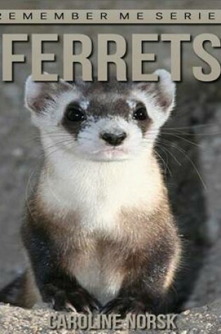 Cover of Ferrets