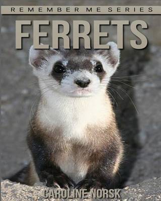 Book cover for Ferrets