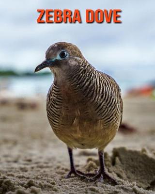 Book cover for Zebra Dove