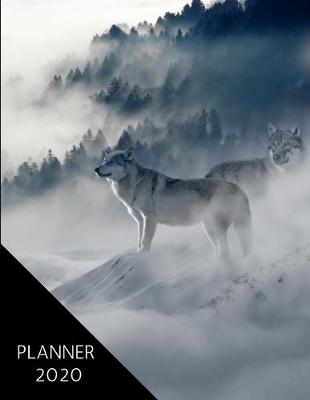 Book cover for Planner 2020