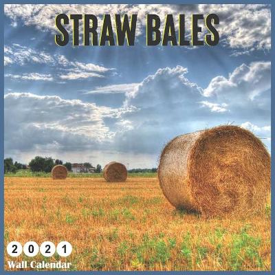 Book cover for Straw Bales 2021 Wall Calendar