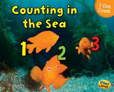Book cover for Counting in the Sea