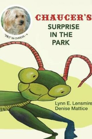 Cover of Chaucer'S Surprise in the Park