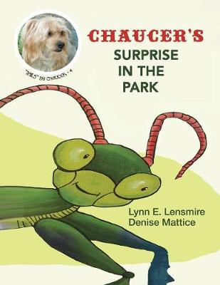 Book cover for Chaucer'S Surprise in the Park