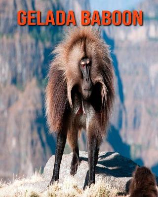 Book cover for Gelada Baboon