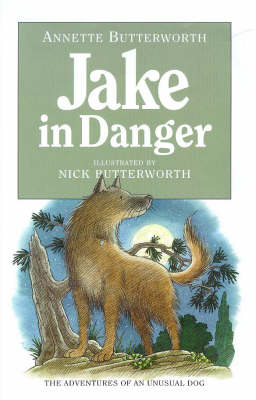 Book cover for Jake In Danger