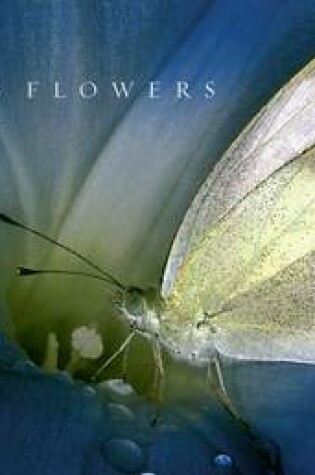 Cover of Flying Flowers