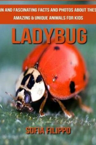 Cover of Ladybug