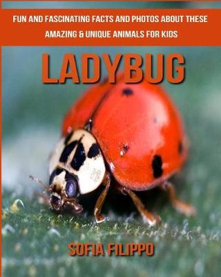 Book cover for Ladybug