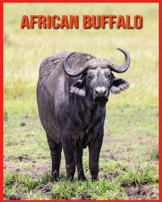 Book cover for African Buffalo