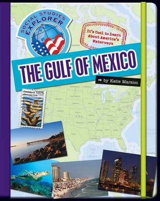 Book cover for The Gulf of Mexico